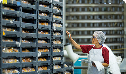 frozen food service 3